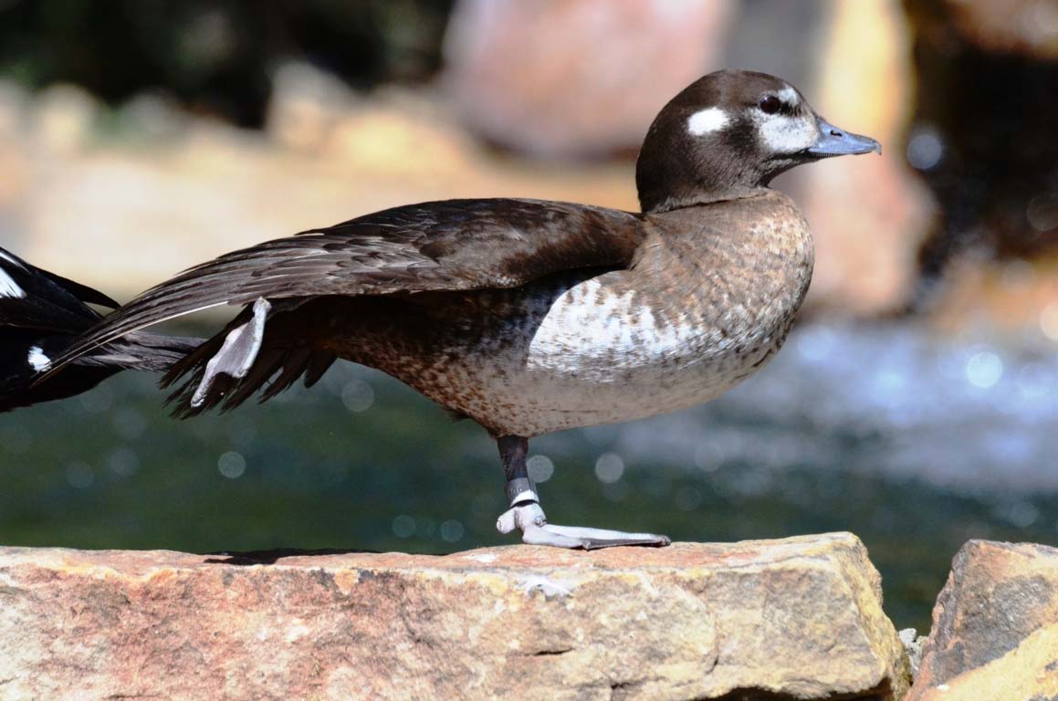 DSC_0882 (FILEminimizer)