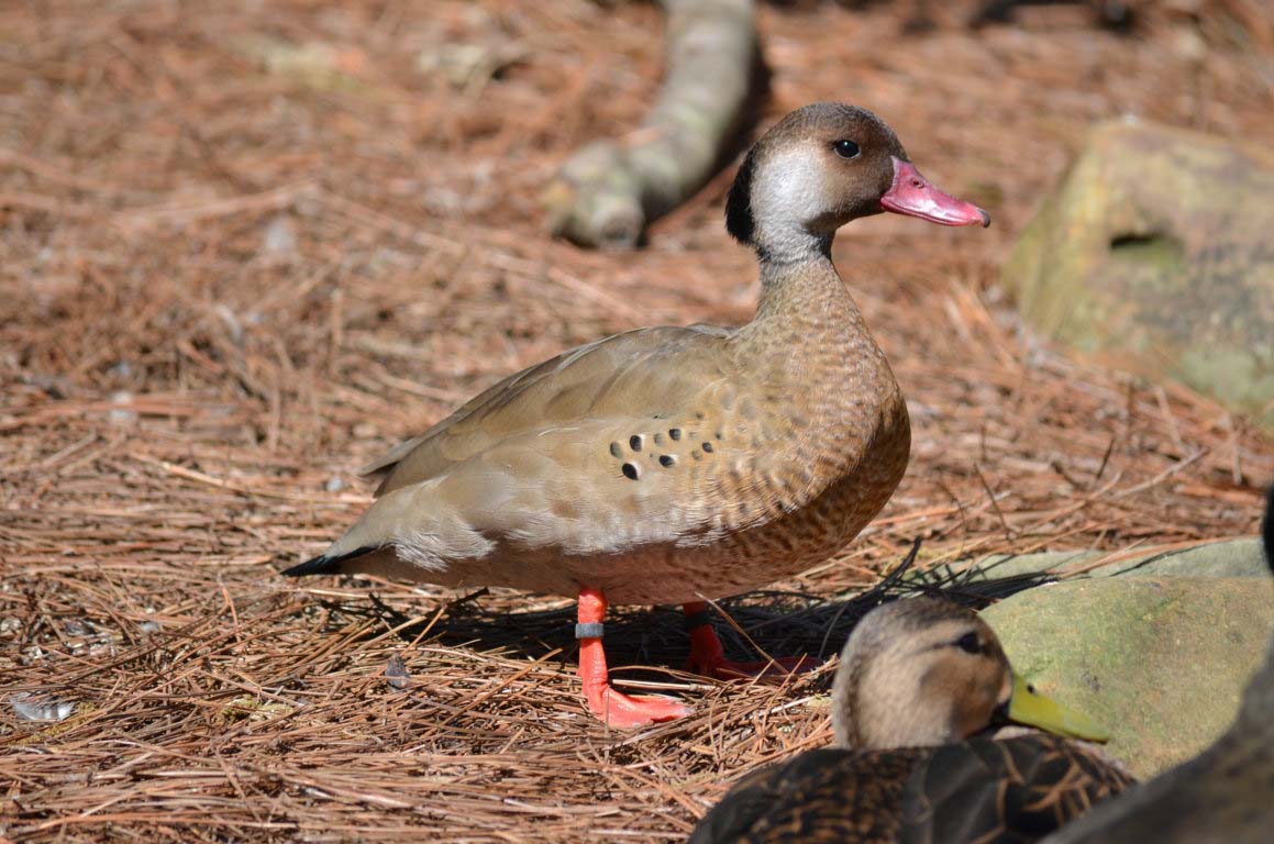 DSC_1037 (FILEminimizer)